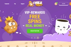 cookie1 cookie1